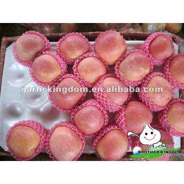 Fresh fuji apple fruit for sale